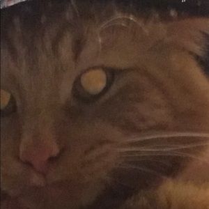 Meet your Posher, Jack